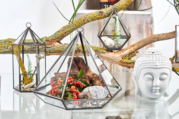 AWGifts Europe - Wholesale Terrarium - Glass Terrarium - Large Pyramid2