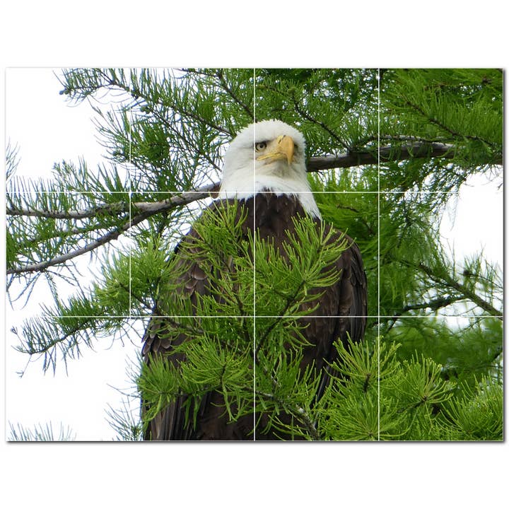 Bird keramiske fliser Keramiske fliser Vægmaleri PT500215 for engroshandel hos Picture-Tiles.com