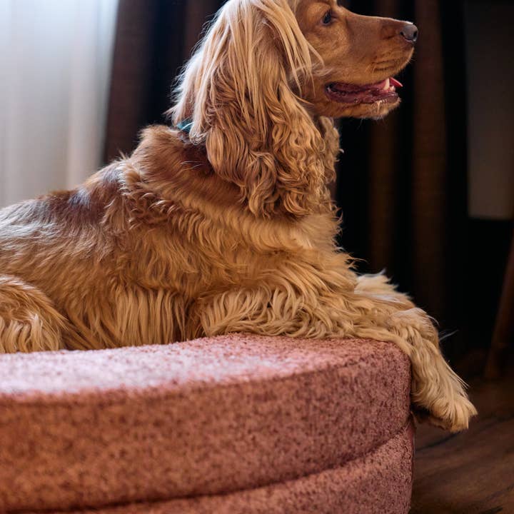 Dukier - Wholesale Pet Bed - Dog - DUKIER TERRACOTTA BED COVER7