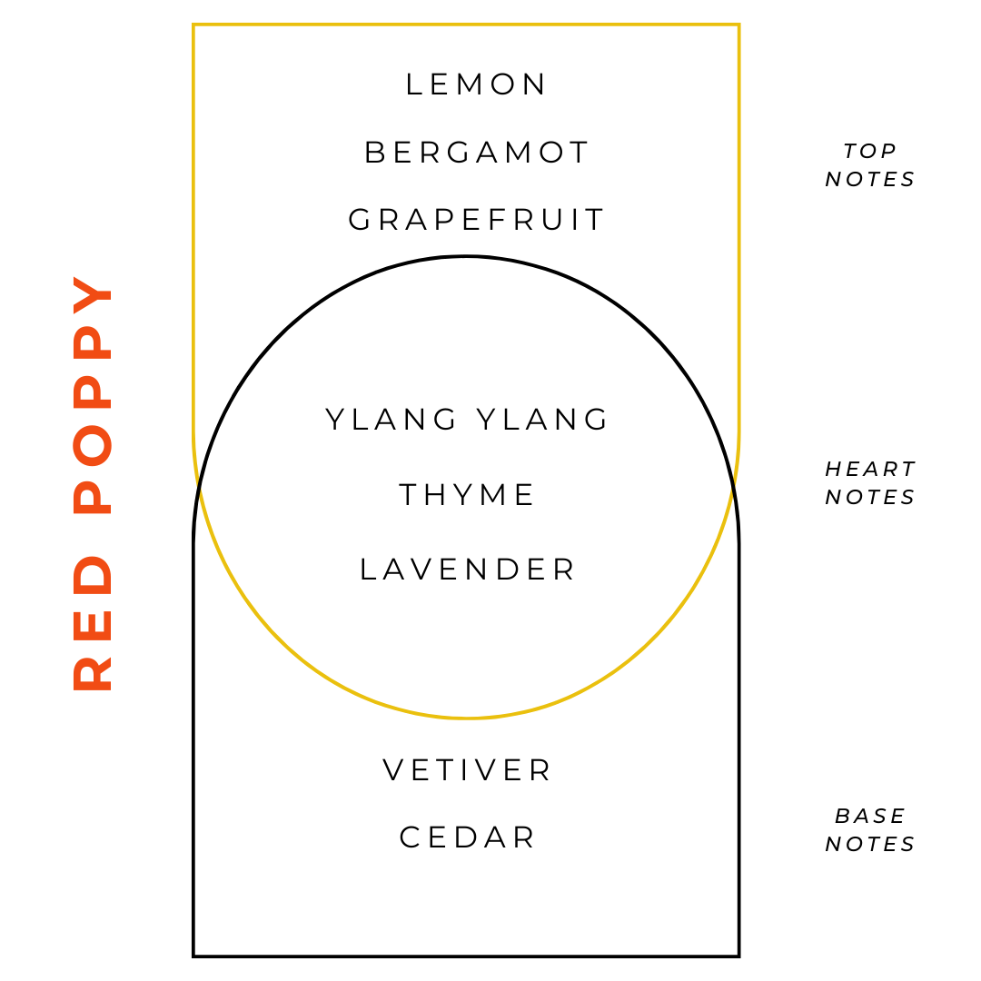 Nomad Wax Co. - Wholesale Jar/Filled Candle - Red Poppy Niwa Floral Candle - 10oz4