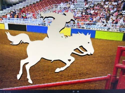 DCentral Magnetics - Wholesale Magnet - DCentral® Rodeo Flexible Vinyl Safety Screen Magnets0