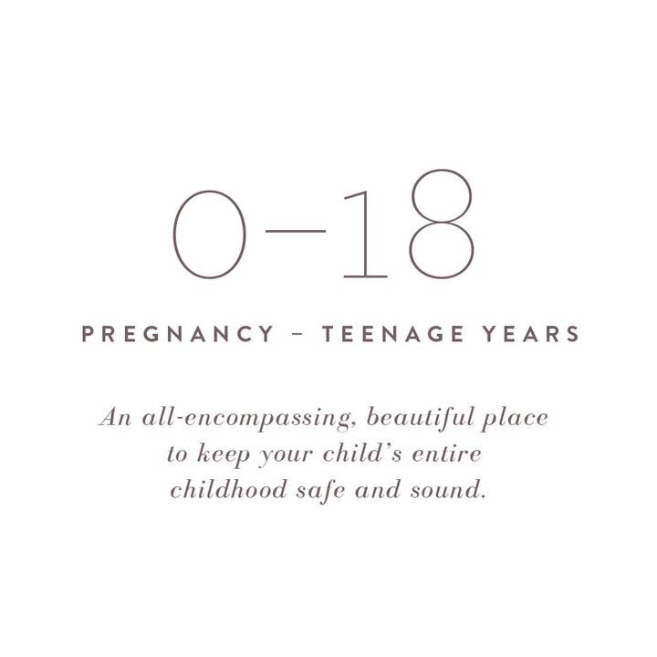 Promptly Journals - Wholesale Diary – Maternity - A Complete Childhood History: Pregnancy to 18 Years Journal 23