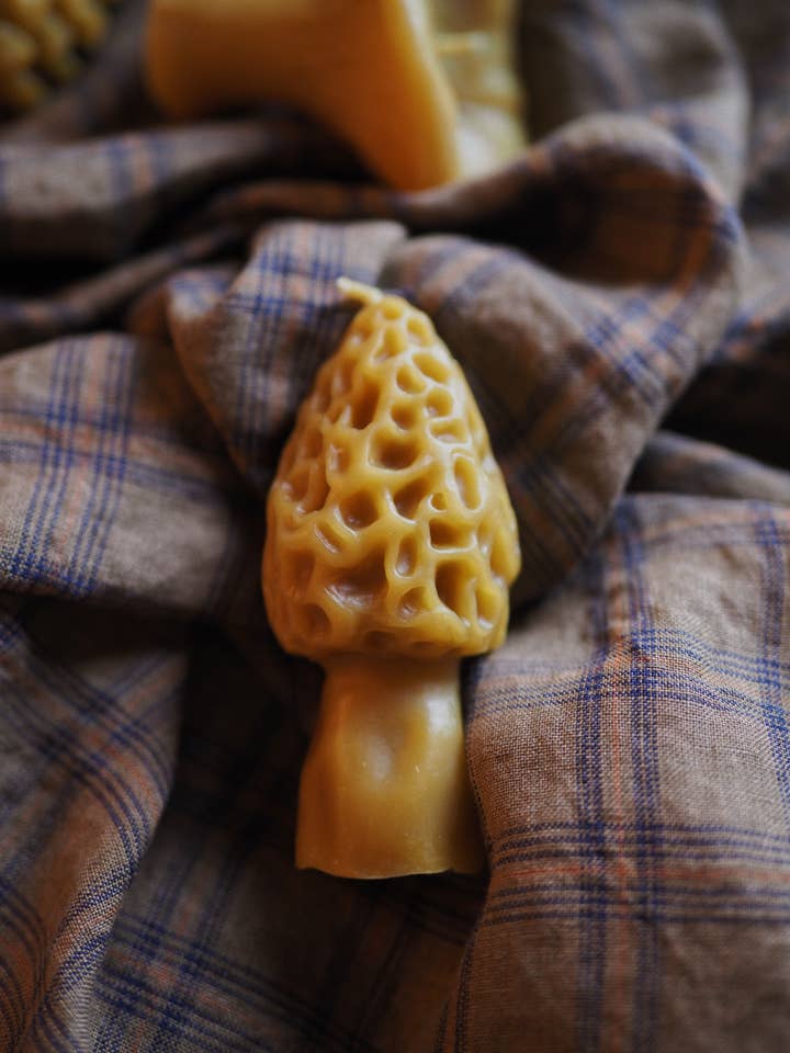 Beeswax morel mushroom candle for wholesale by Woven