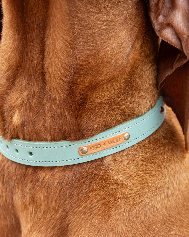 Hiro + Wolf – wholesale Pet collar – Dog – Luxury Leather Duo Tone Studded Dog Collar 'Mint + Tan'7