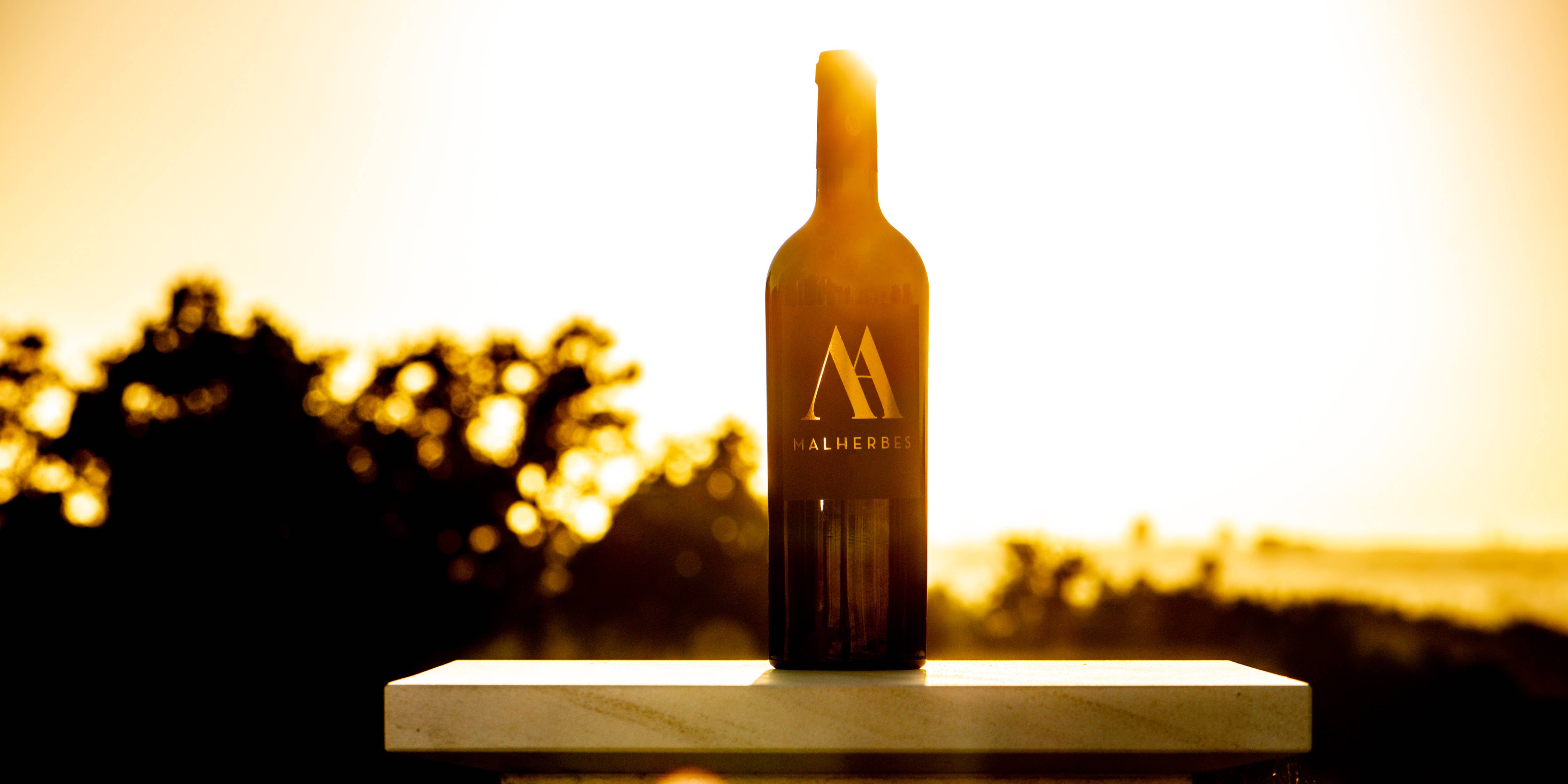 CHÂTEAU DE MALHERBES - Wholesale Red Wine - Malherbes 20153