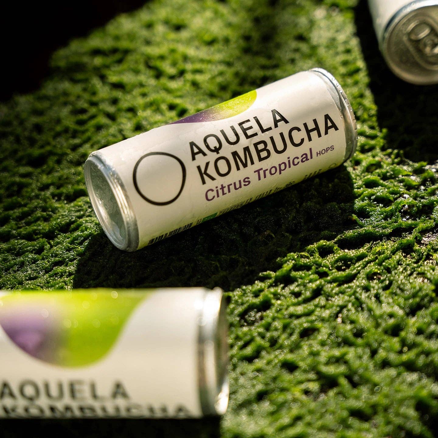 Geocakes - Wholesale Kombucha - That Organic Tropical Citrus Kombucha - 250ml Can2