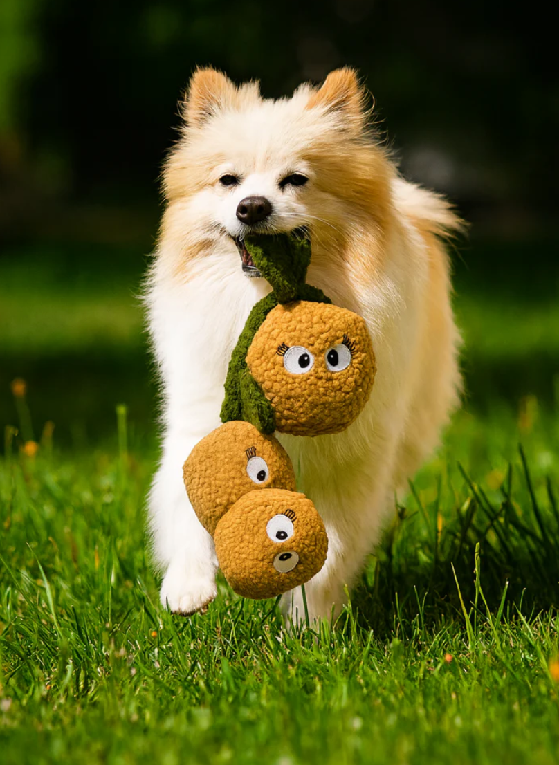 Pals For Paws - Wholesale Pet plush toy – Dog - Kiwi the Plush Tug Dog Toy- Pals for Paws™-Made with 100% Re1