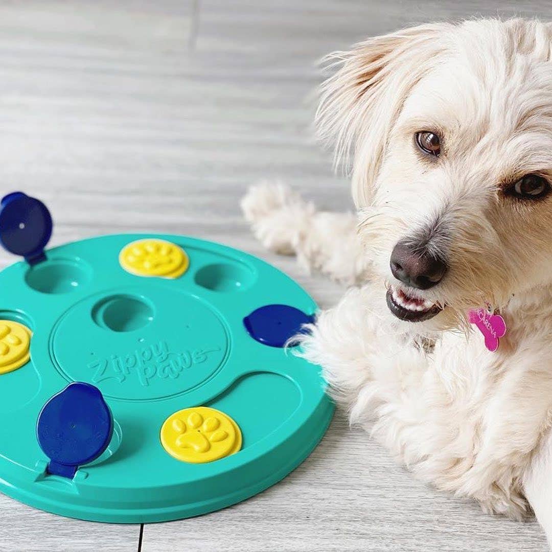 Pet Palette Distribution - Wholesale Pet Toy - Dog - ZippyPaws Smarty Paws Puzzler3