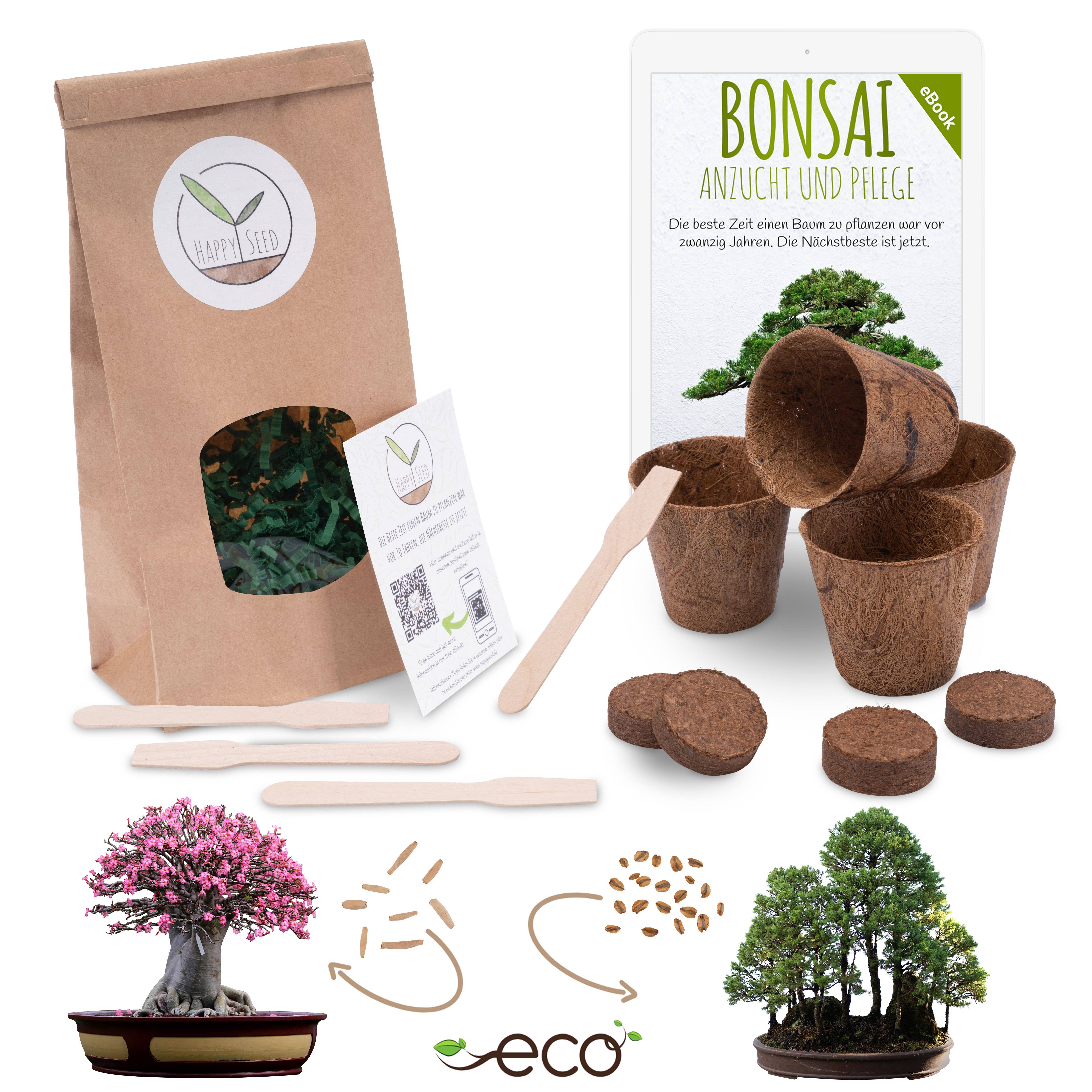 Vendix GmbH - Wholesale Plant Seeds - Bonsai starter kit growing kit including free eBook7