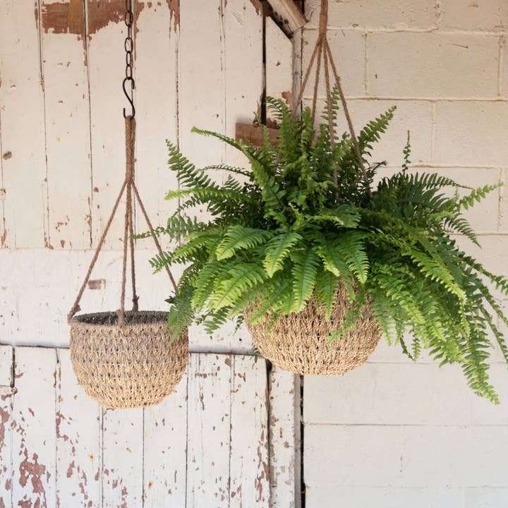 Audrey's Home & Gift - Wholesale Basket - Hanging Seagrass Baskets (Set Of 02)