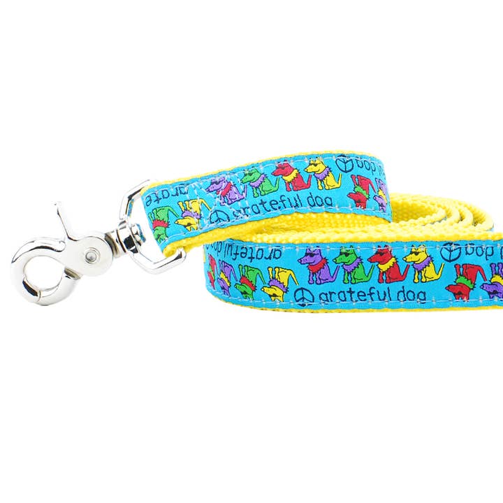 1" Grateful Dog Teddy The Dog Leash for wholesale by 2 Hounds Design