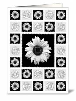 girasol 7019A para venta al por mayor de Actetre Deutschland Gmbh