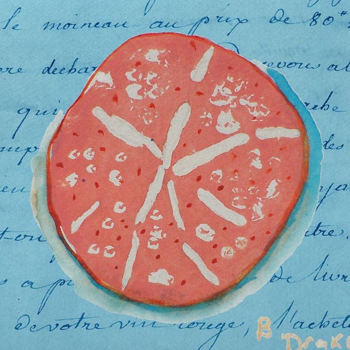 Felpudo Coral Sand Dollar para venta al por mayor de Betsy Drake Interiors