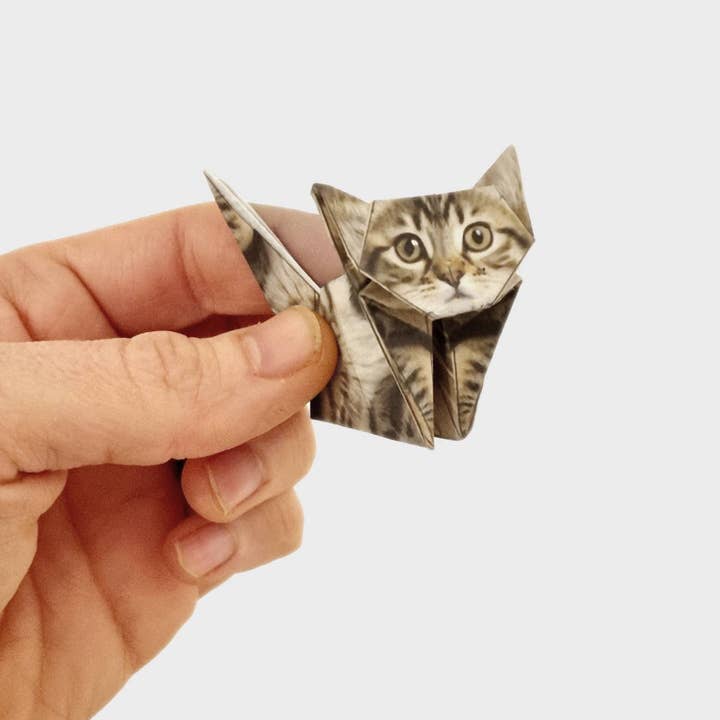 Pikkii USA - Wholesale DIY Craft Kit - Paper Cats | Perfect For Cat Lovers | Cute DIY Origami Kit