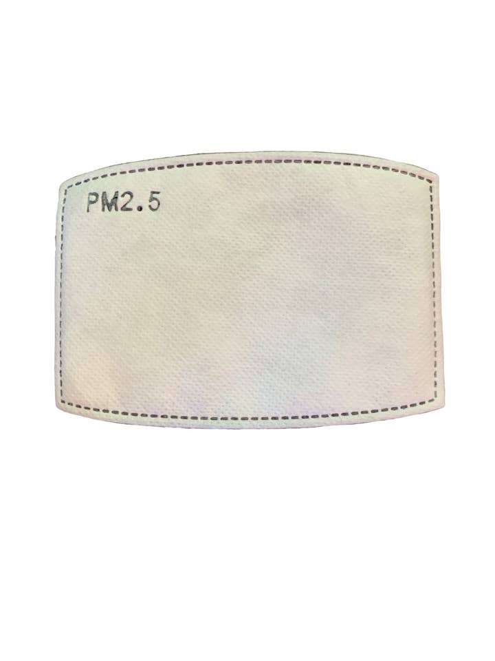 PM2.5 Filters (10 pack) for wholesale by Maya’s Place