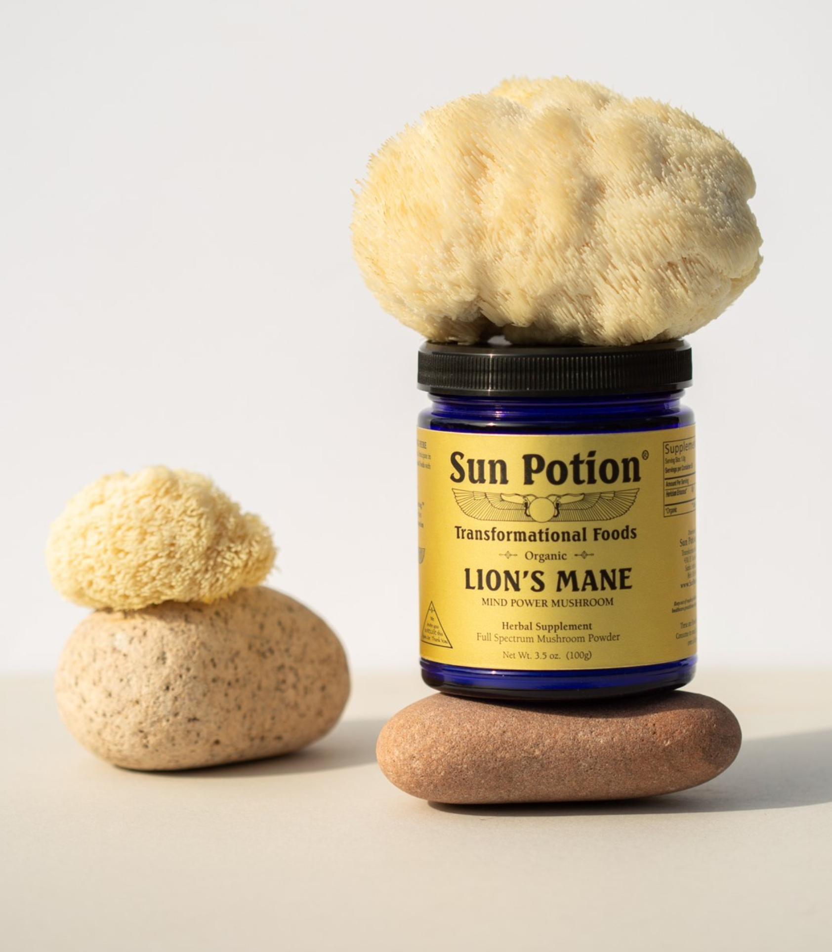 Sun Potion - Wholesale Protein/Superfood Powder - Lion's Mane (Organic) 100 grams2