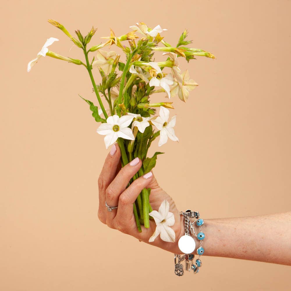 Plantgem - Wholesale Plant Seeds - White Perfume Nicotiana - 50 Seeds1