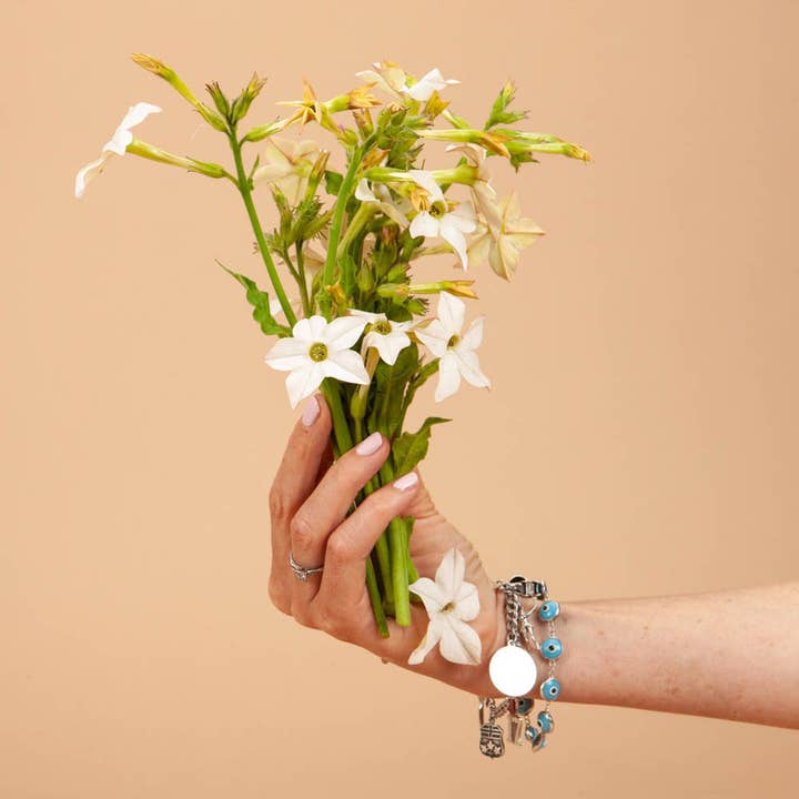 Plantgem - Wholesale Plant Seeds - White Perfume Nicotiana - 50 Seeds1