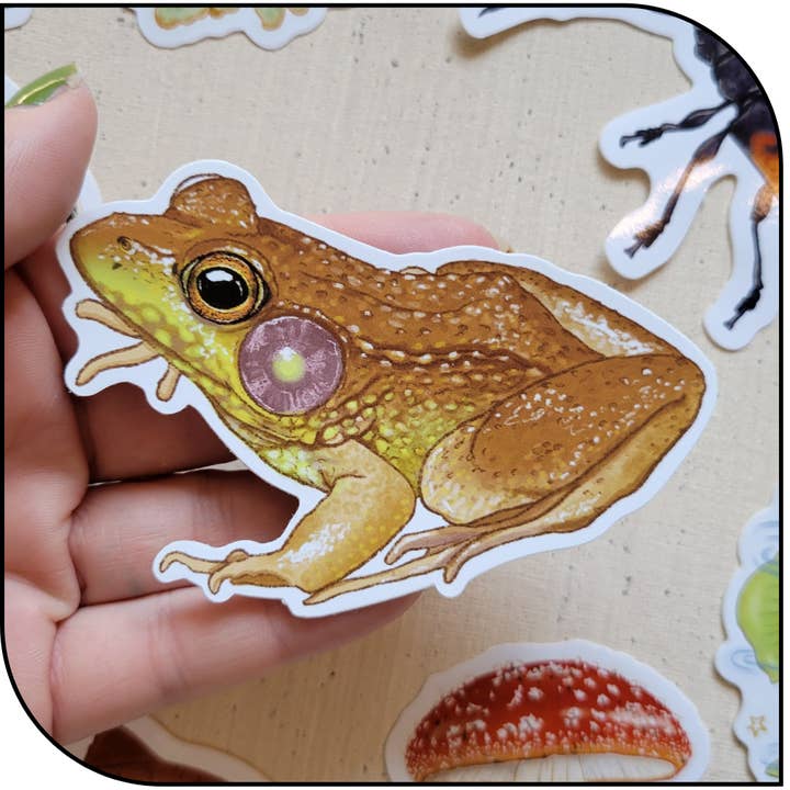 Bronze Frog Sticker for wholesale by The Hollowbird