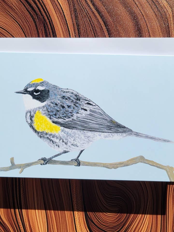 Myrtle Warbler Card for wholesale by Jessica Plesko Art