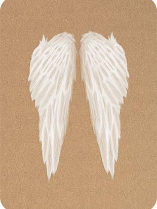 POSTKORT ENGLEVINGER for engroshandel hos Pépette Kacahuète