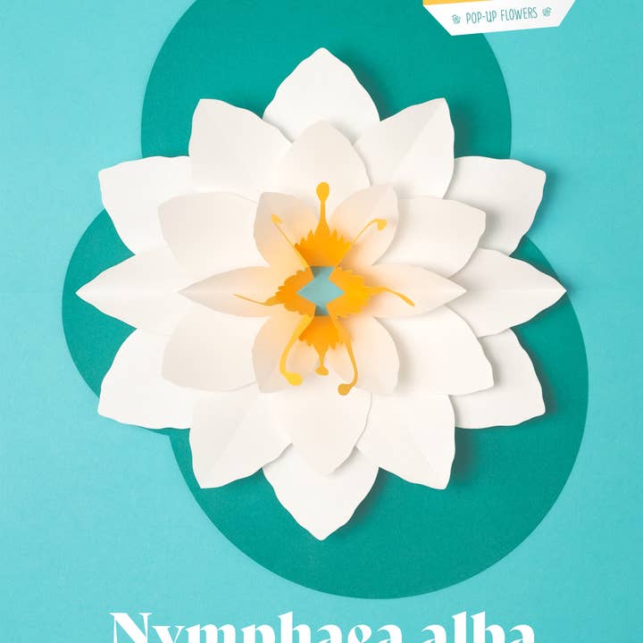 Today is Art Day - Wholesale DIY Craft Kit - White Waterlily - Flower 3D Pop-Up Figure by Plego