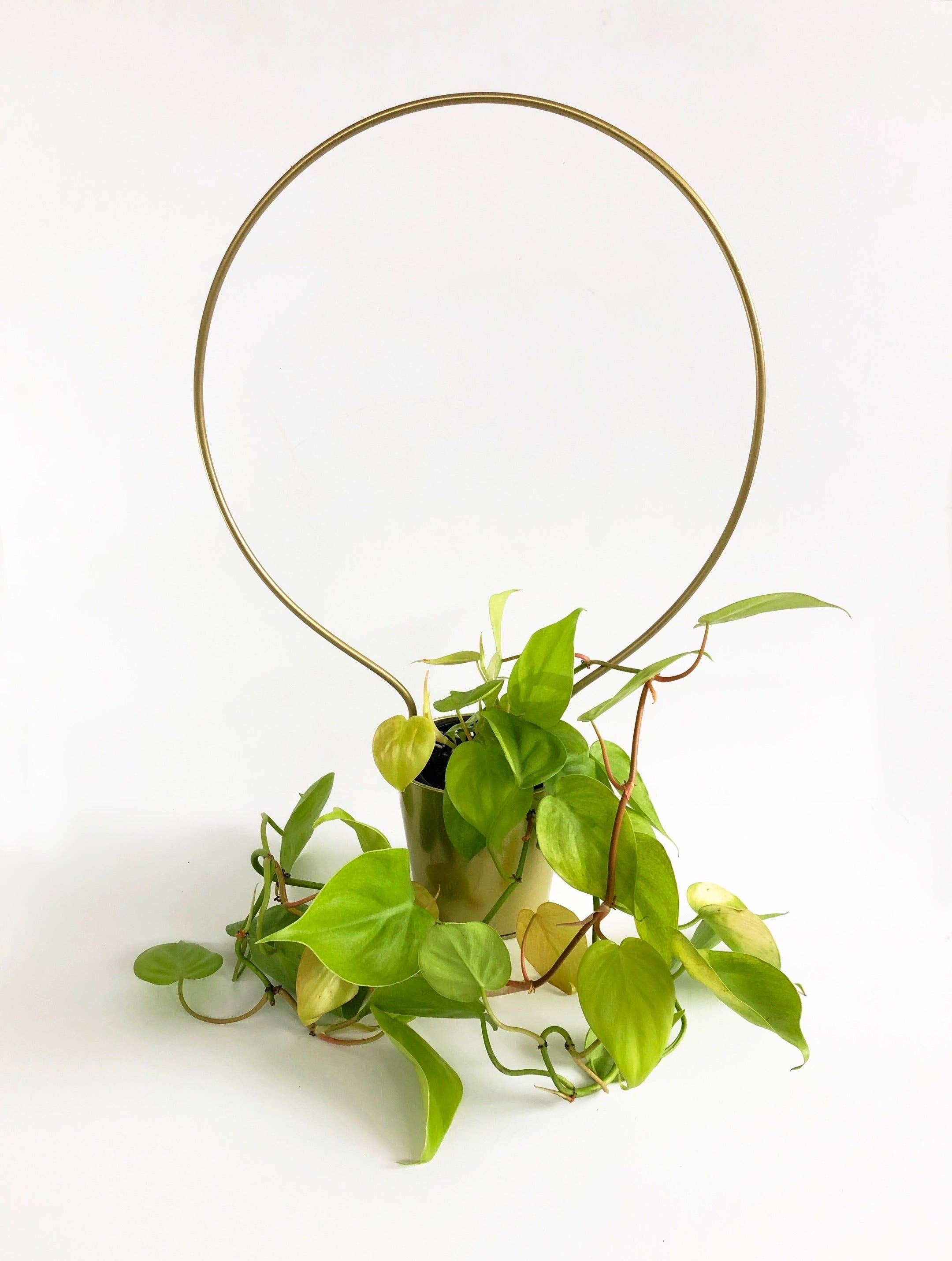 Iron Ivy - Wholesale Trellis - Ivy Round Trellis - Plant Stake/Totem12