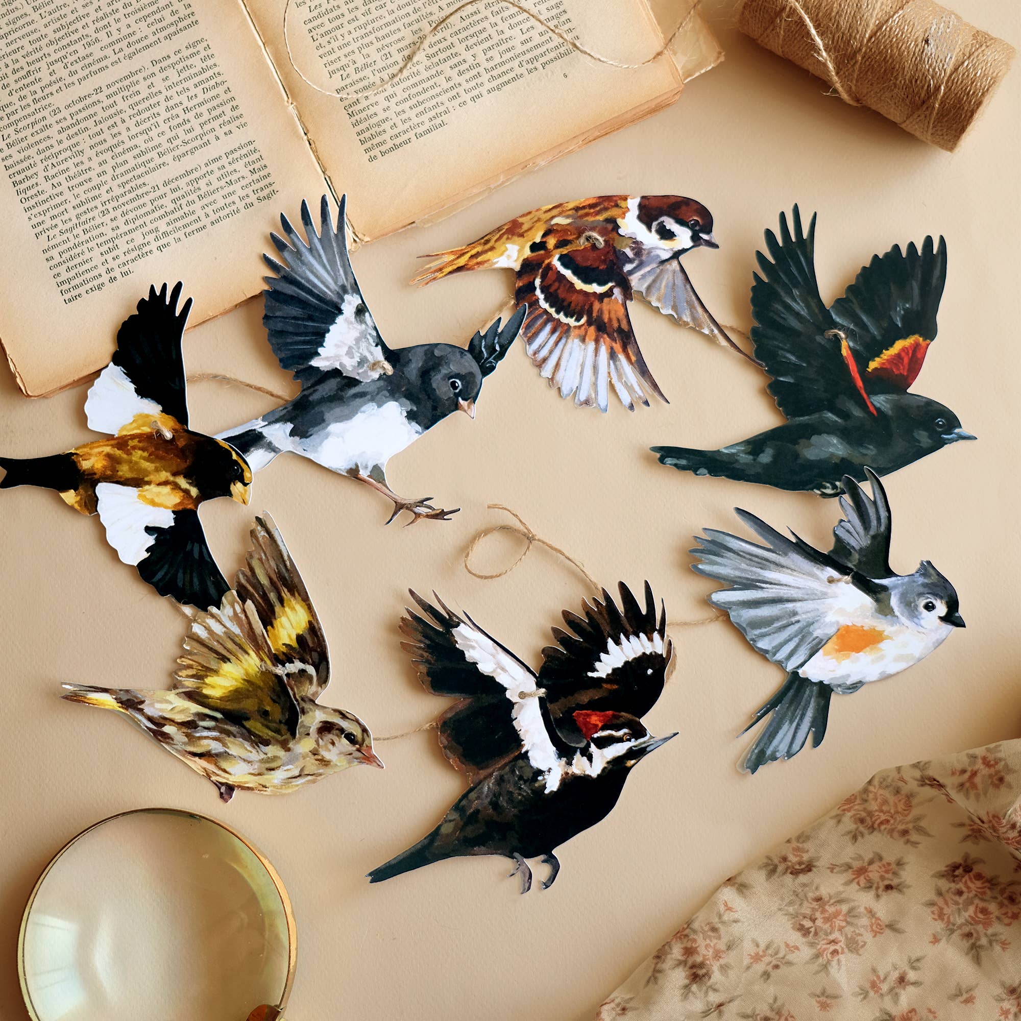 Doro Marcello - Wholesale Bunting/Garland - Canadian Birds Garland | DIY Paper Garland Set | Party Decor1