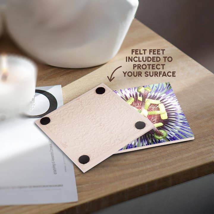 3dRose - Wholesale Coasters - 3dRose, Close Up of The Centre Of a Passiflora Flower, Coaster3