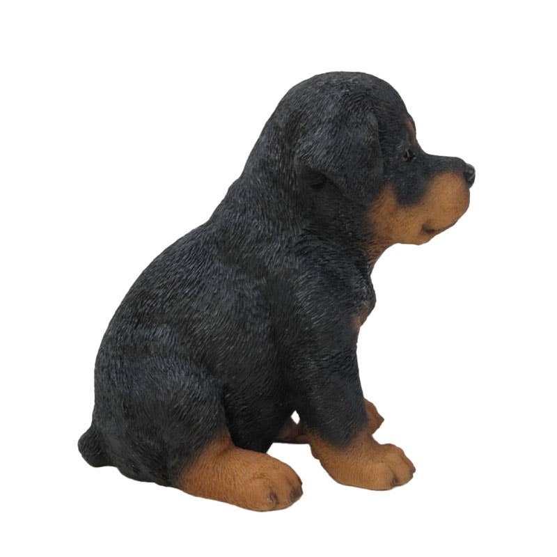 Hi-Line Gift Ltd. - Wholesale Outdoor Ornament/Decor - Pet Pals: Rottweiler Puppy Statue3