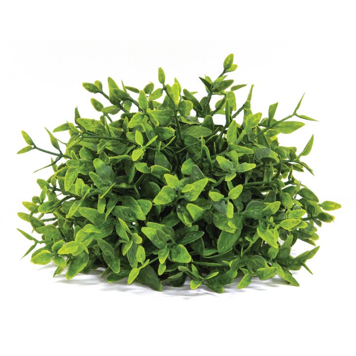 Saybrook Lane - Wholesale Artificial Plant - Lush Green Lemon Beauty Half Sphere - 5-1/2 In