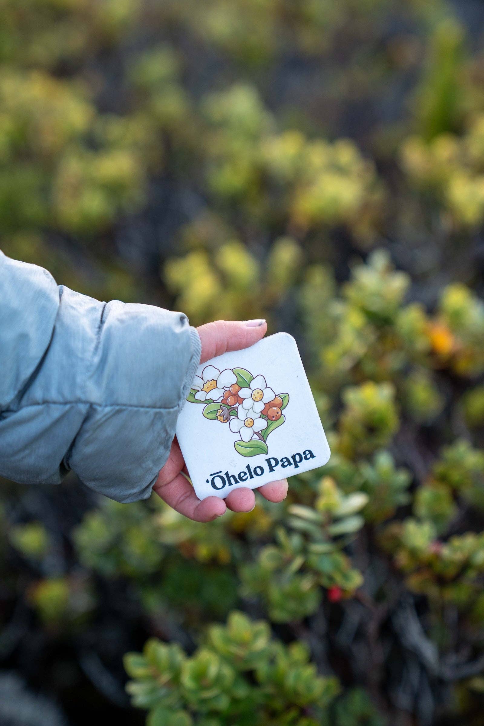 The Keiki Dept - Wholesale Brain Game - Kids - The Memory Game: Mauna Kea9