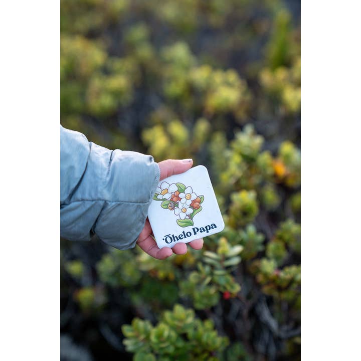 The Keiki Dept - Wholesale Brain Game - Kids - The Memory Game: Mauna Kea9