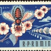 Postage Stamp Jewelry – Engroshandel Halskæde med vedhæng – 1963 Rumænsk bi-frimærke - Frimærkesmykker - Vintage frimærke halskæde - antik bronze2