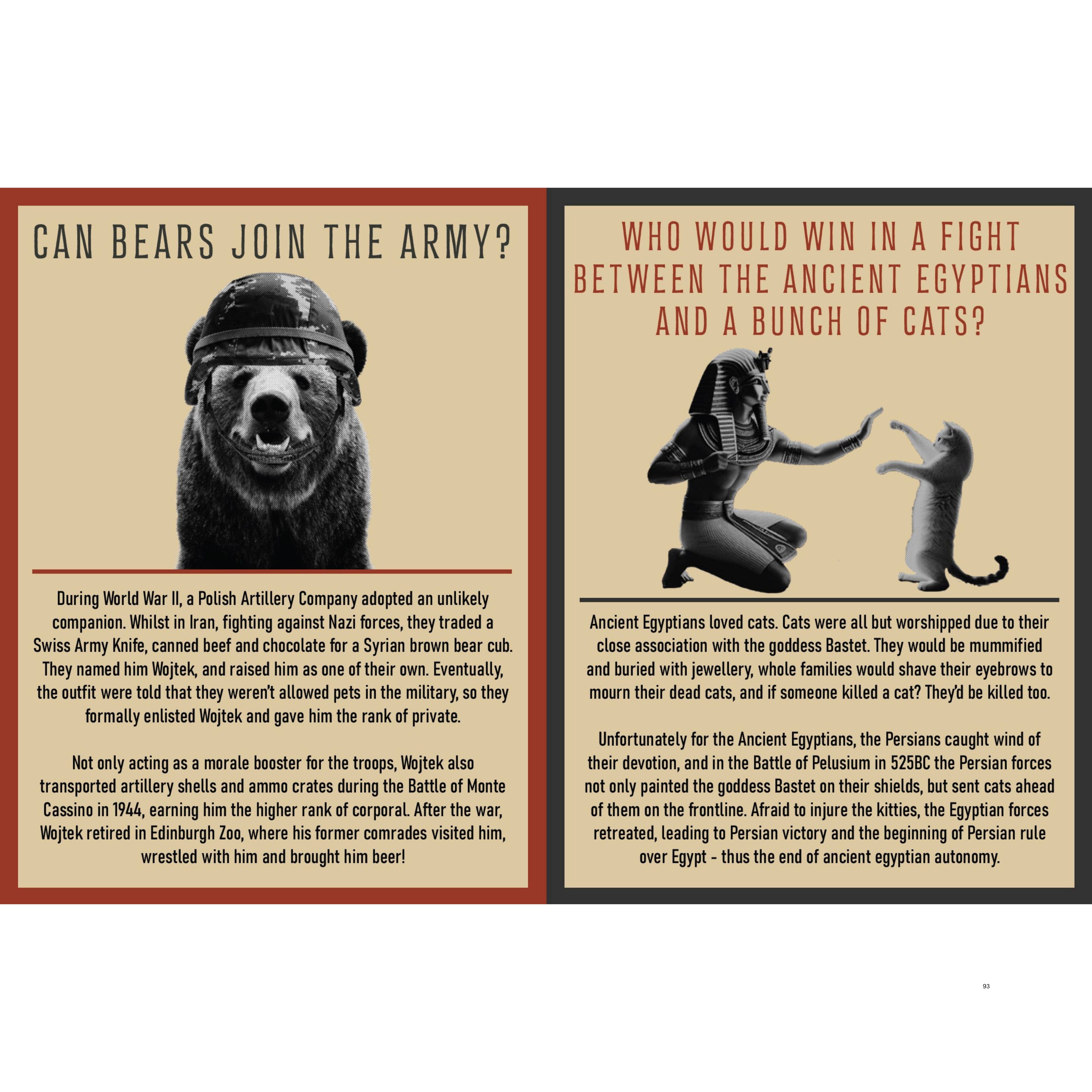 Boxer Gifts - Wholesale Humor - Curious Man Thoughts Gift Books - Funny Men's Gifts1