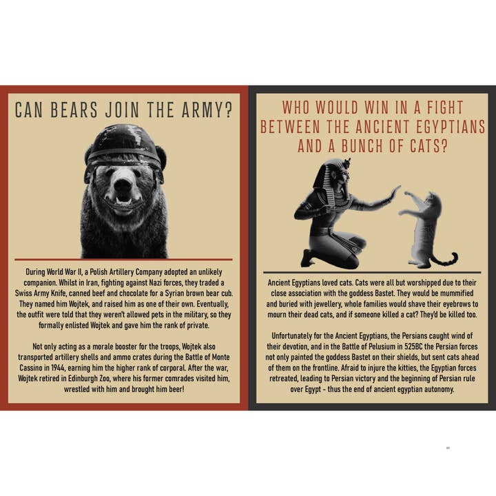 Boxer Gifts - Wholesale Humour - Curious Man Thoughts Gift Books - Funny Men's Gifts1