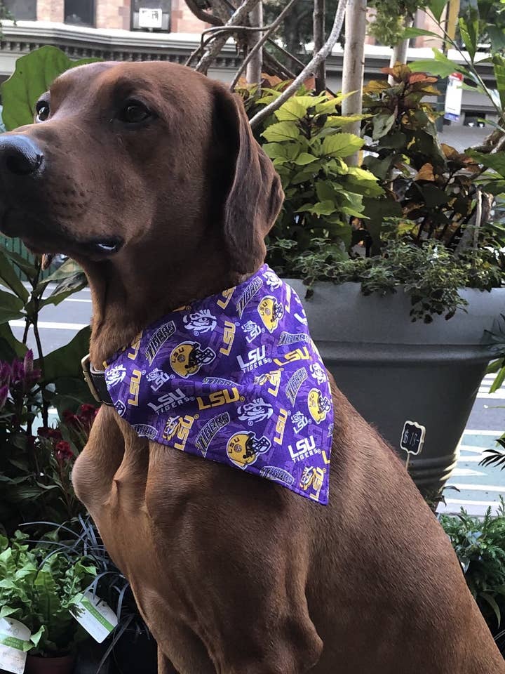 LSU Tigers Bandana, College Collection for wholesale by Koa's Ruff Life
