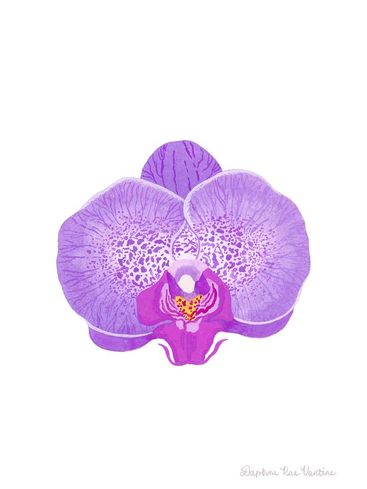 Purple Orchid Botanical Art Print – Tropical Wall Decor for wholesale by Daphne Rae Creative