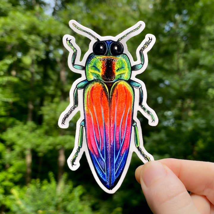 Rainbow Jewel Beetle väderbeständig vinyl klistermärke för wholesale av Allison Stoiser Art