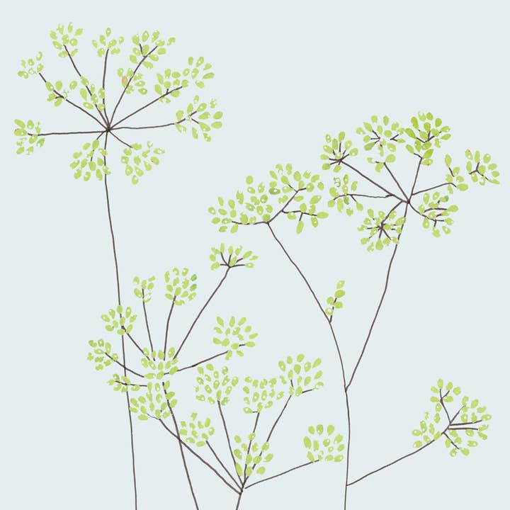 Fennel Gyda Chydymdeimlad by Eloise Hall (Welsh) for wholesale by Inky Blue Ltd t/a Holy Mackerel