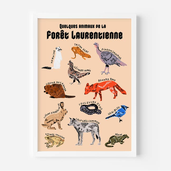 Faune laurentienne (wilde dieren van Laurentian) - Kunstdruk voor wholesale door Projet Spécial