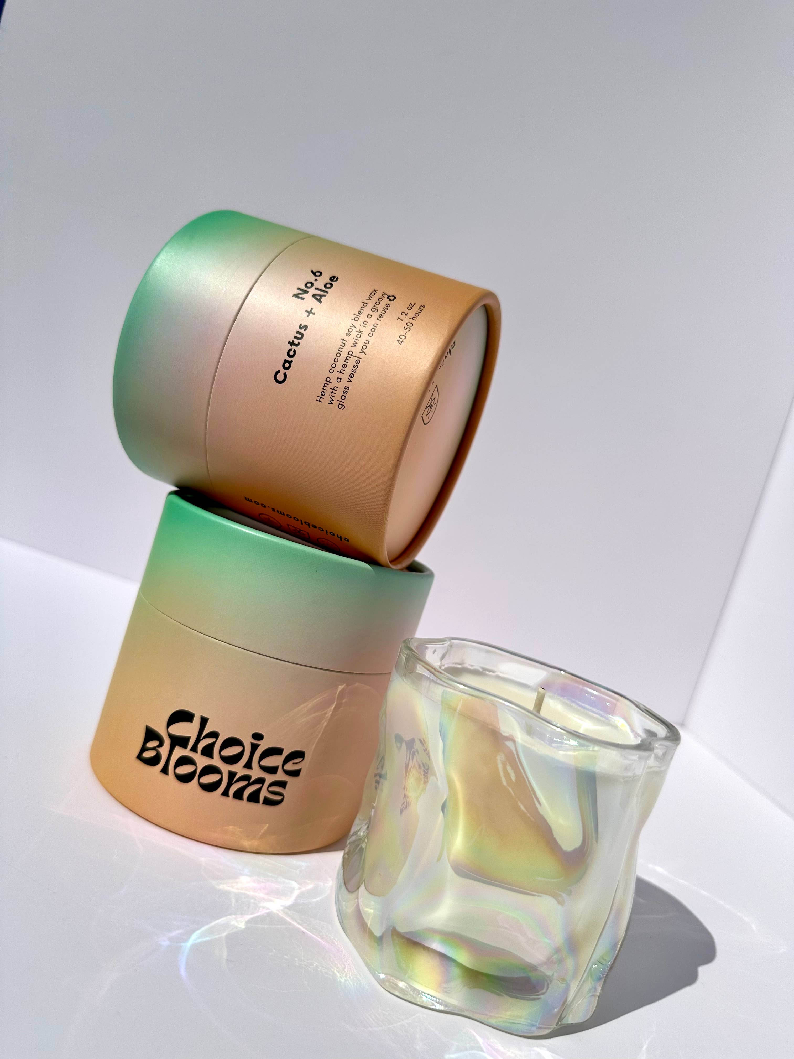 Choice Blooms - Vendita all'ingrosso Candela in vasetto - Candela Cactus + Aloe da 7,2 oz. N. 63