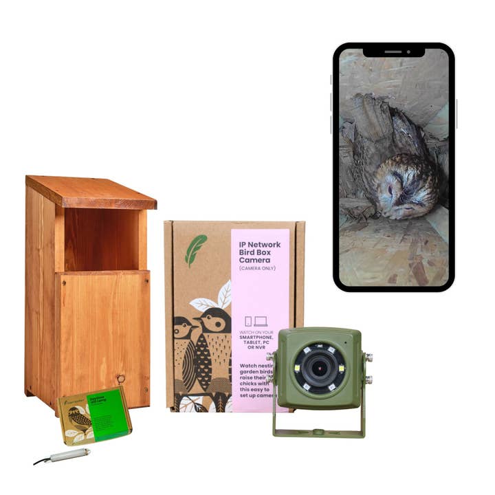 Wired Network Owl Box HD Camera Pack for wholesale by Green Feathers