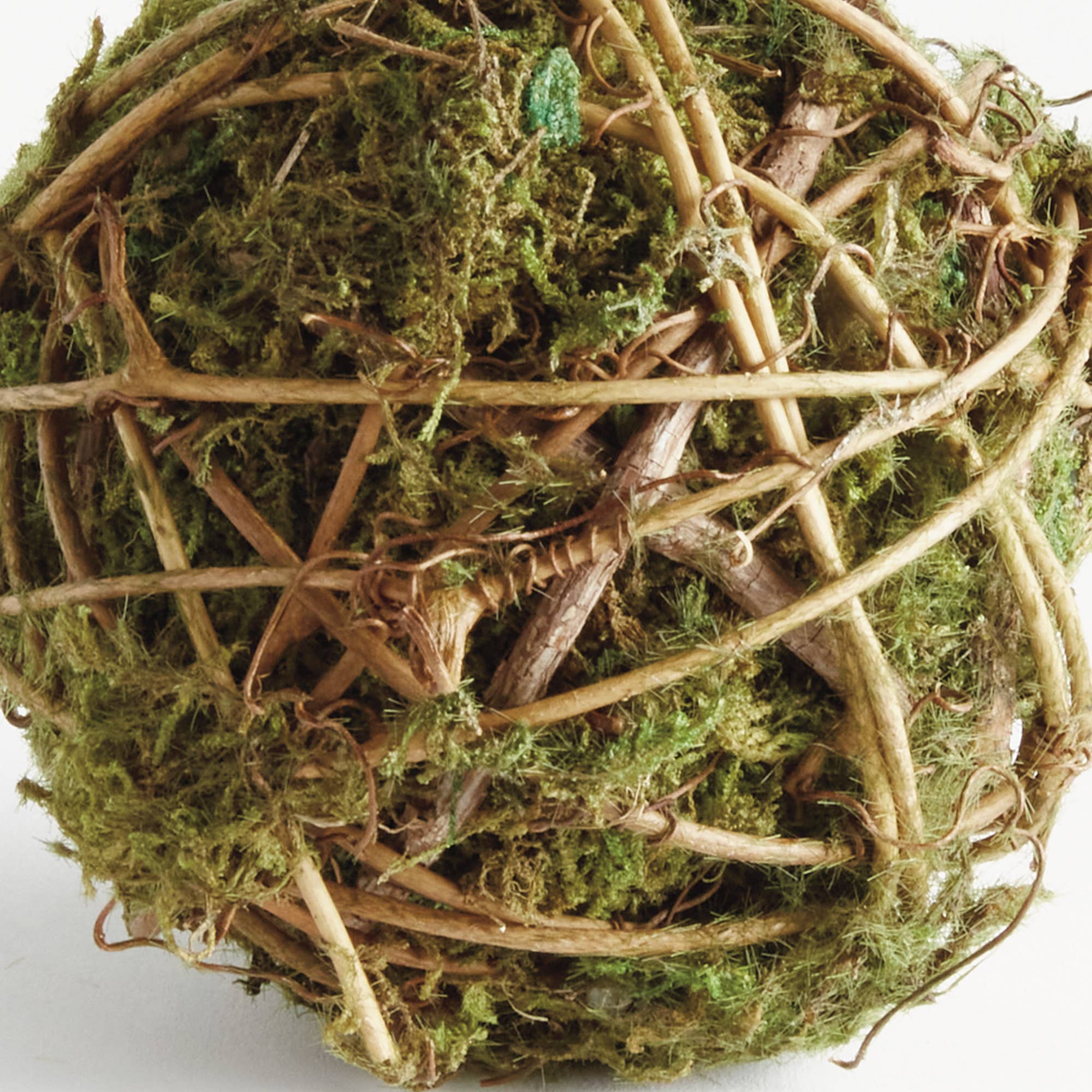 Vert Orbe Mossy Vine 4" en vente sur Faire1
