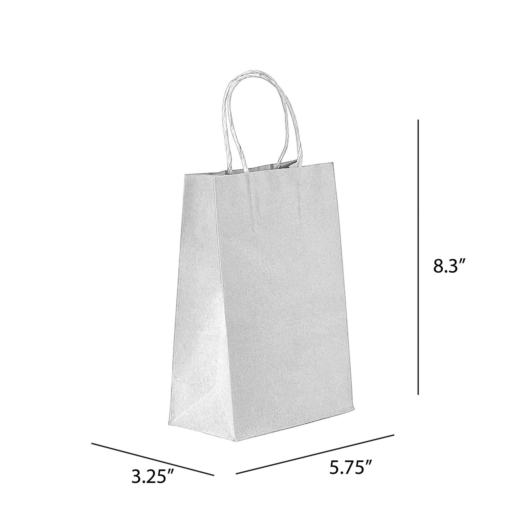 PTP BAGS - Wholesale Gift Bag - Natural/White Paper Bag - 5.75 x 3.25 x 8.375 (250 Pack)1
