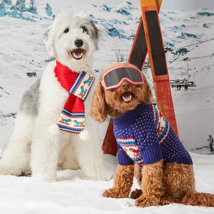 The Foggy Dog - Wholesale Pet Scarf - Cat/Dog - Gray Malin x TFD Hit the Slopes Knit Holiday Dog Scarf