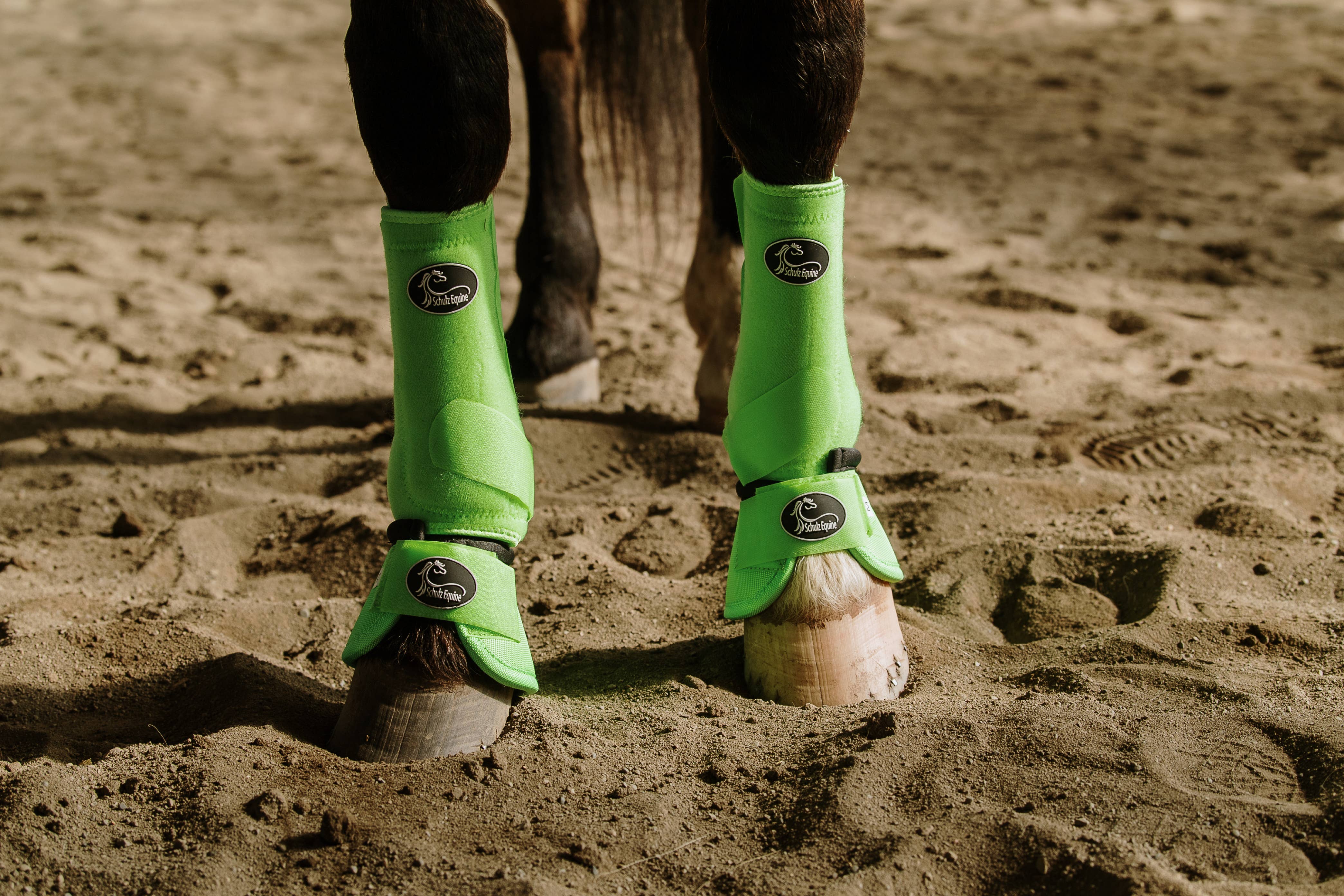 Schulz Equine – wholesale Ridutrustning – Schulz Equine bell boots med livfulla mönster3