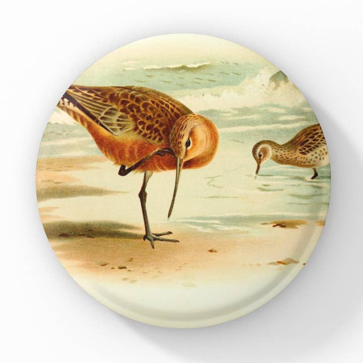 Bar Tailed Godwit Bird Pin, Bird Keychain, Bird Magnet for wholesale by NatureCuts