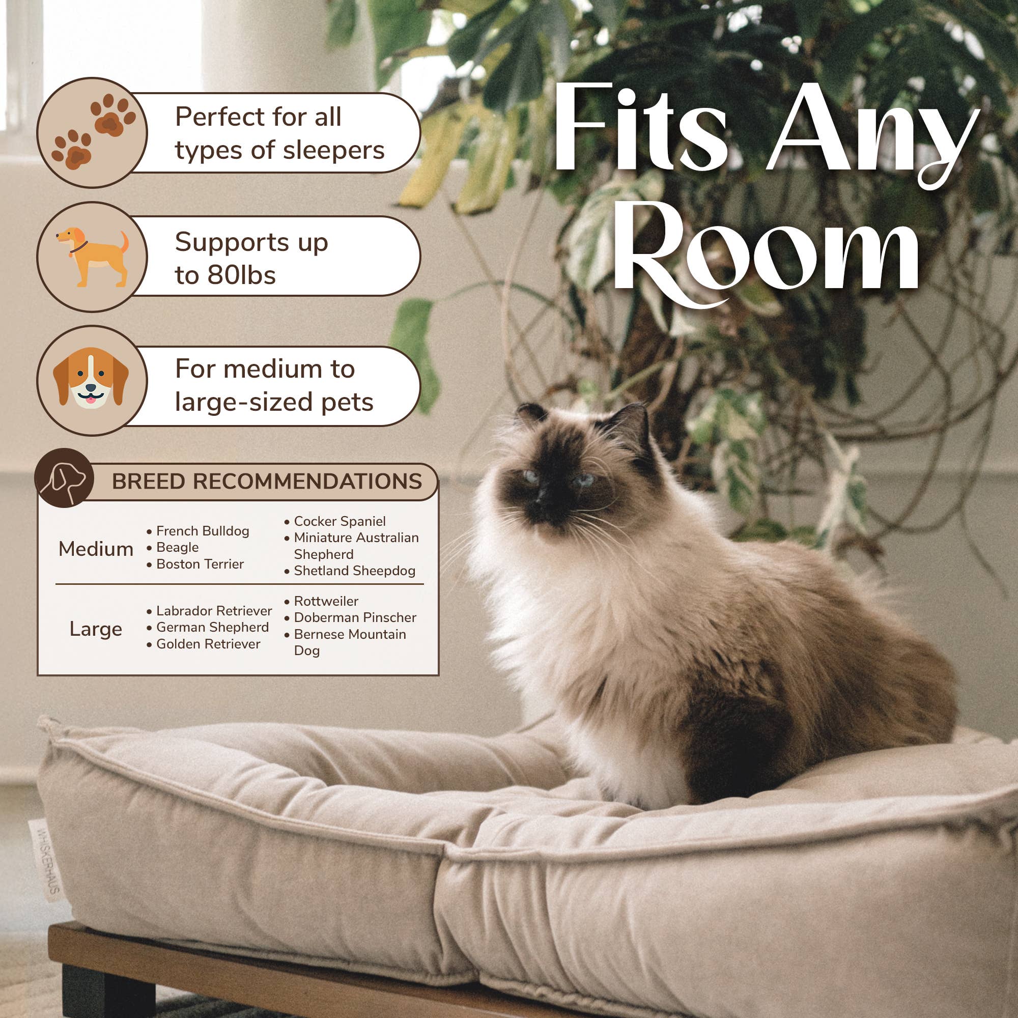 WHISKERHAUS LLC – Engroshandel Seng - Kat/hund – WHISKERHAUS Premium Moderne Luksus Katte- og Hundeseng - HARLOW6