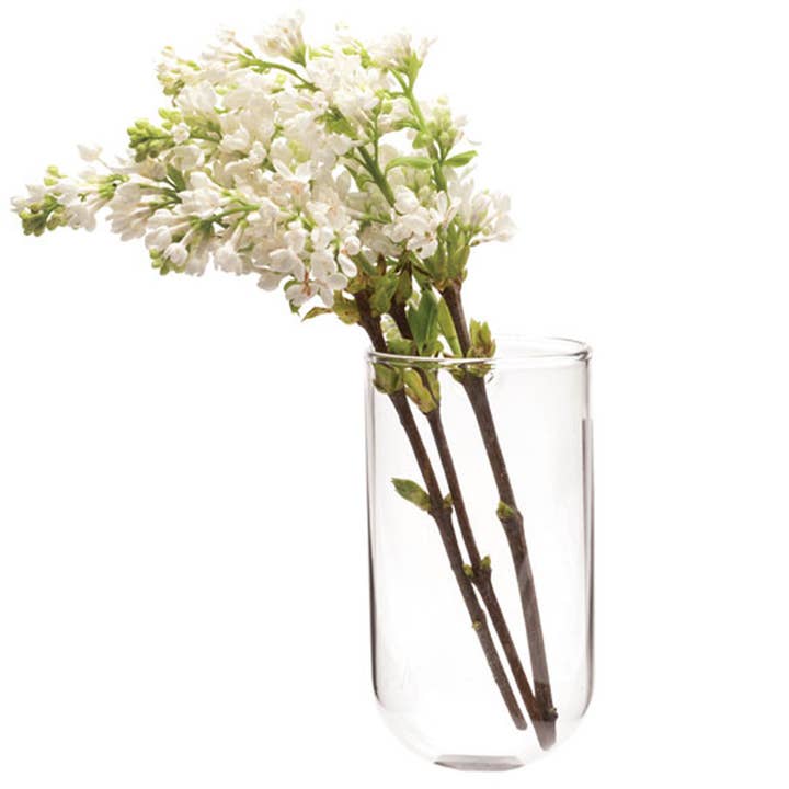 Flower Vase Clear Glass With Hole For Wall Mounting for wholesale by Chive
